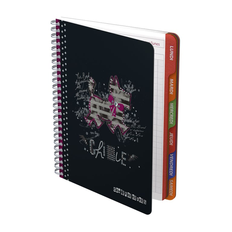 CAHIER DE TEXTES CHIPIE NOIR CAHIER DE TEXTES CHIPIE NOIR - Agendas ...