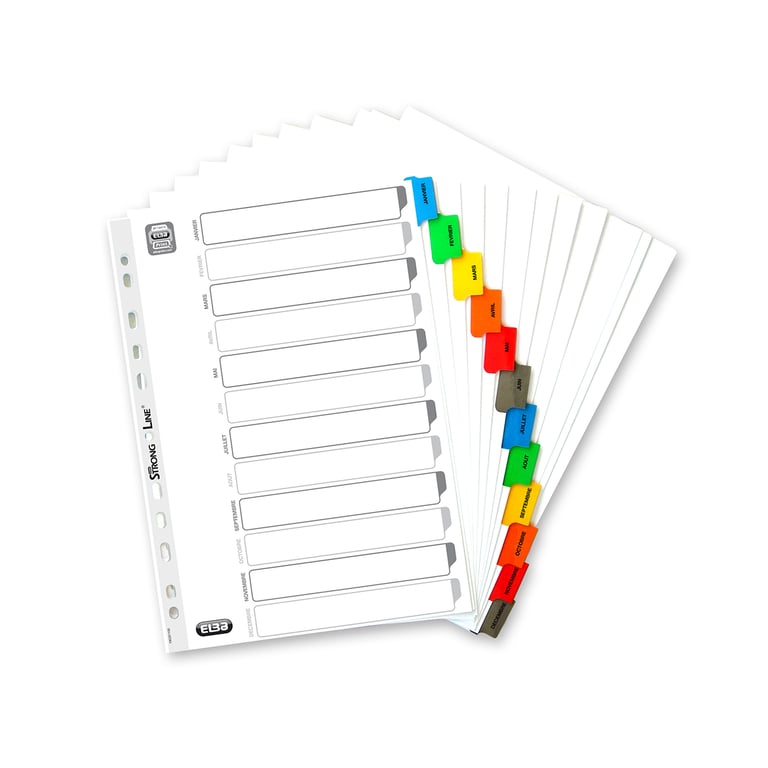 Intercalaire A4 Carte Bristol Blanc Exacompta 12 Onglets Mensuels Coloris Assortis 1 Jeu