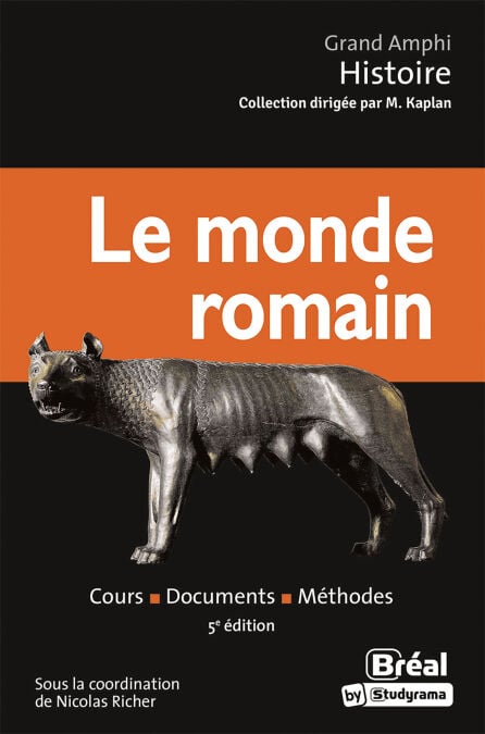 media/ebook/10073485_image_type_product_shot_VIVLIO_1_FR_f84c1