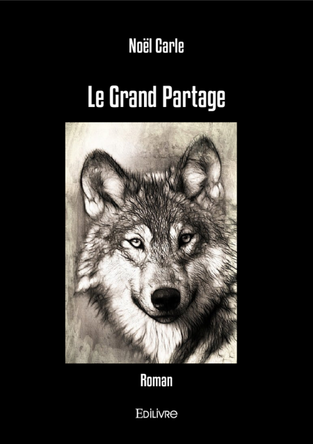 media/ebook/10246255_image_type_product_shot_VIVLIO_1_FR