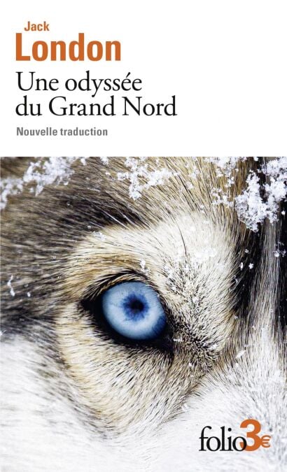 media/ebook/10398489_image_type_product_shot_VIVLIO_1_FR