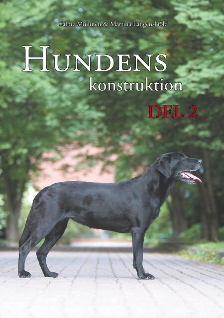 media/ebook/10470611_9p1hi0v7_0
