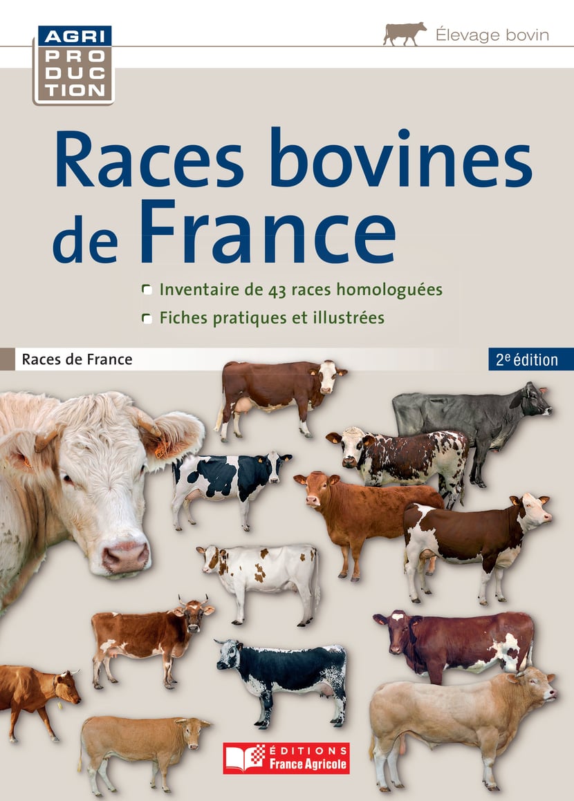 media/ebook/10473609_4rqikm0j_0