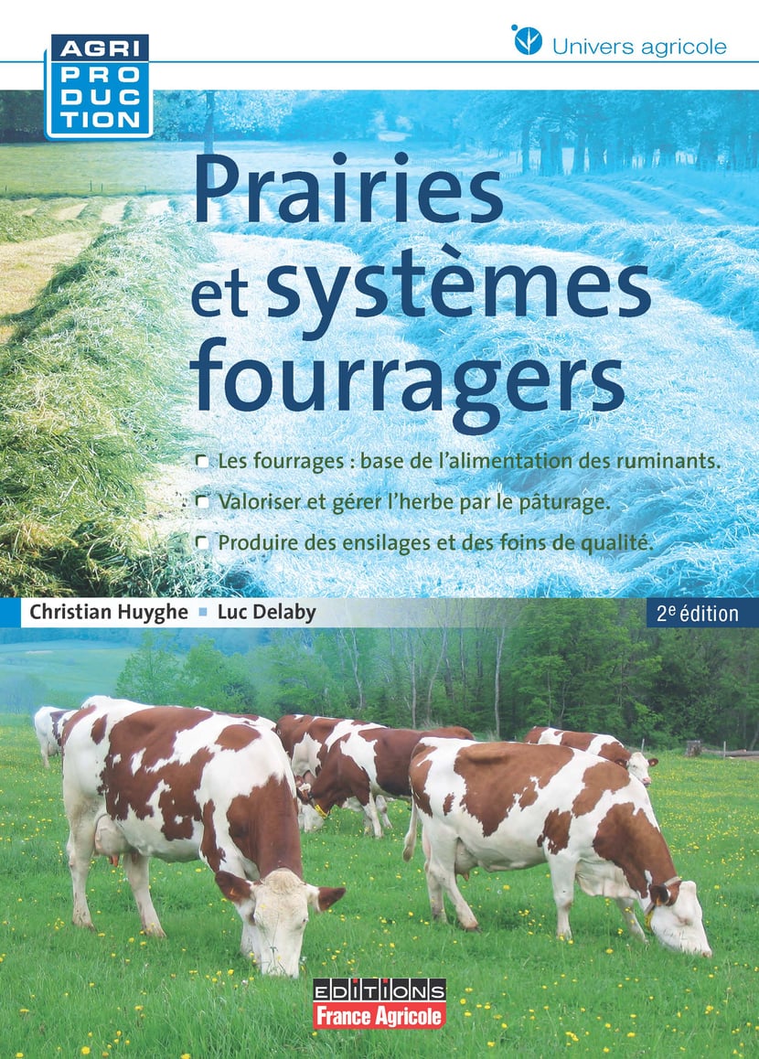 media/ebook/10474871_10s2p83g_0