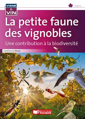 media/ebook/10474872_1g9ioi8h_0