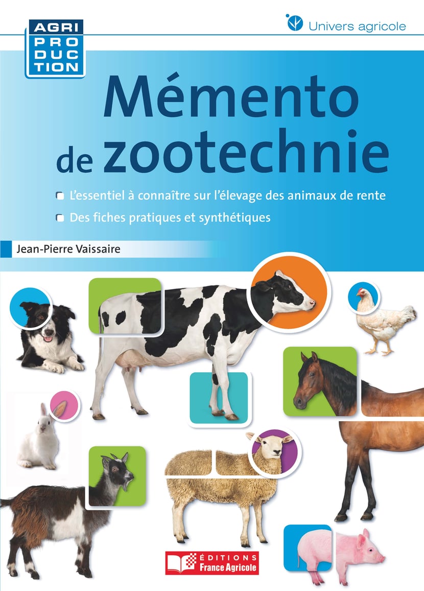 media/ebook/10476897_1fdeit3t_0