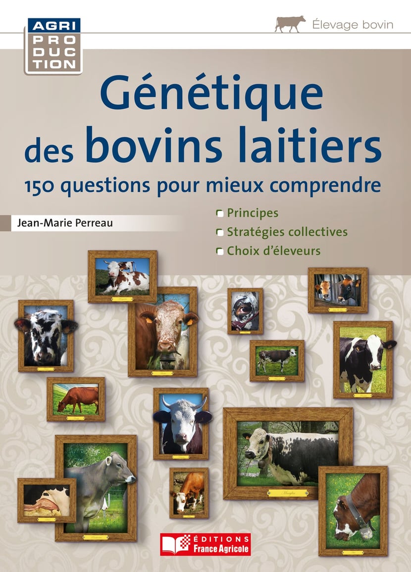 media/ebook/10476903_1w5p2gbx_0
