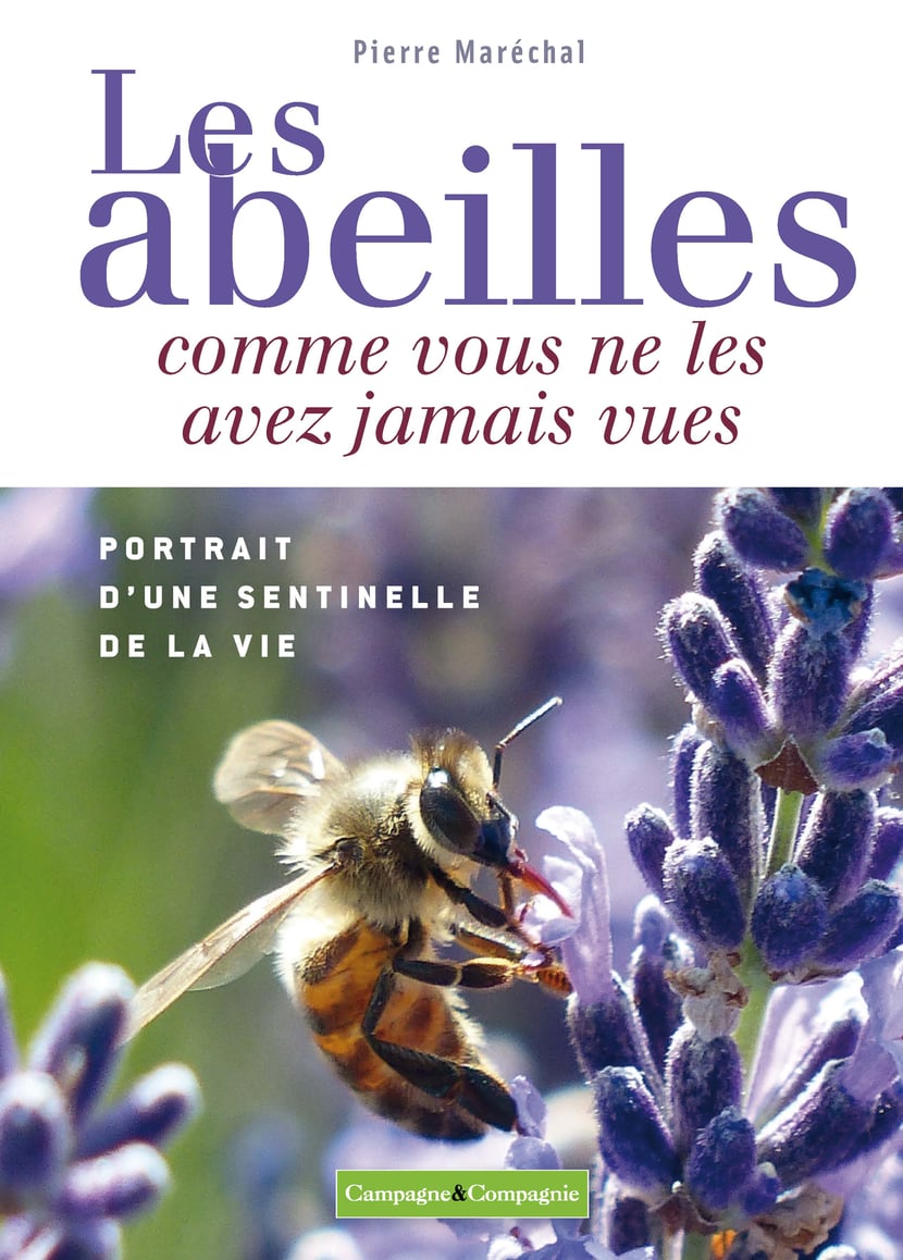 media/ebook/10477433_1m6voc1f_0