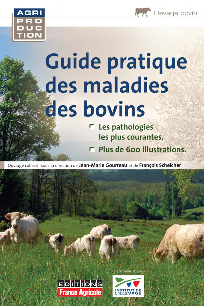 media/ebook/10479054_1xloaeg4_0