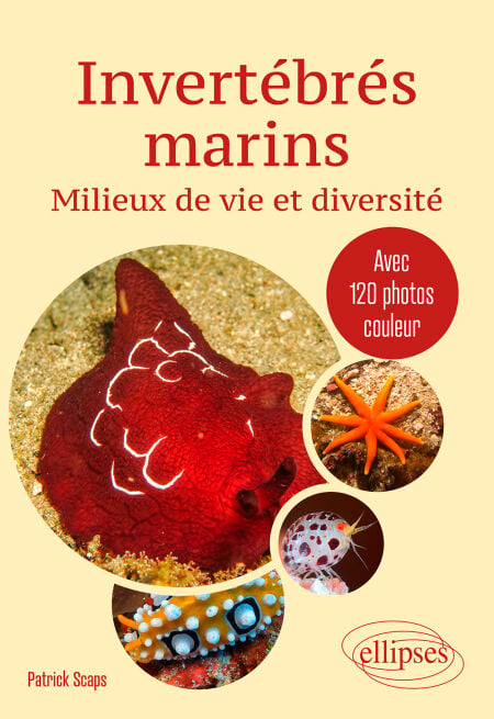 media/ebook/10479093_5r4h7zrz_0