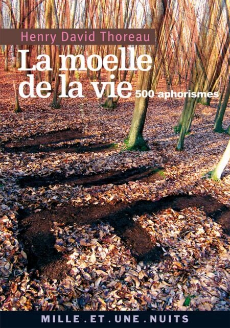 media/ebook/10480479_3ua5p667_0