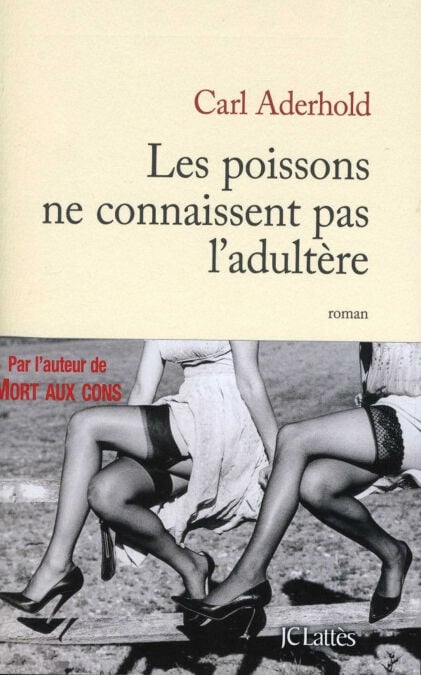 media/ebook/10481156_1ah250qd_0