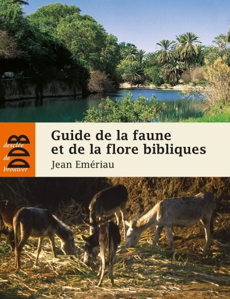 media/ebook/10482336_1rhpt1l8_0