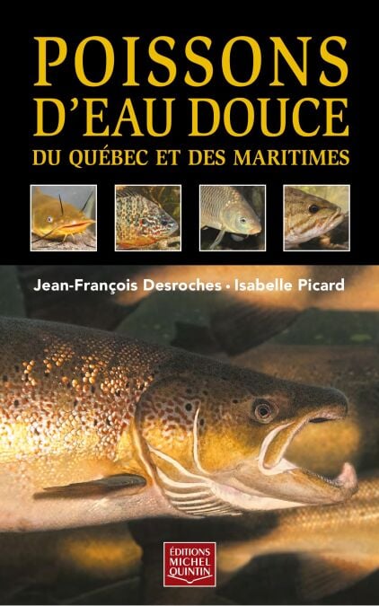 media/ebook/10487211_14pvv65g_0
