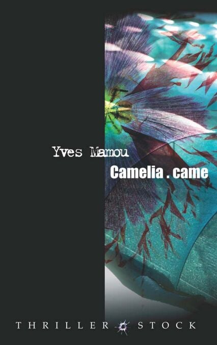 media/ebook/10488633_1ja74kvl_0