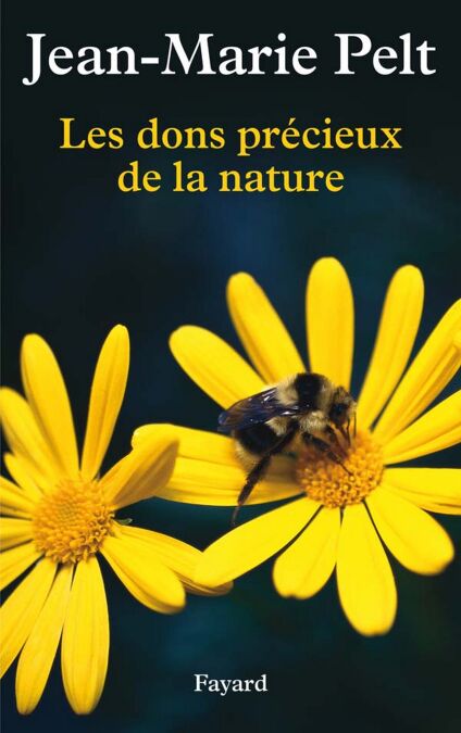 media/ebook/10493029_1c42gsxj_0