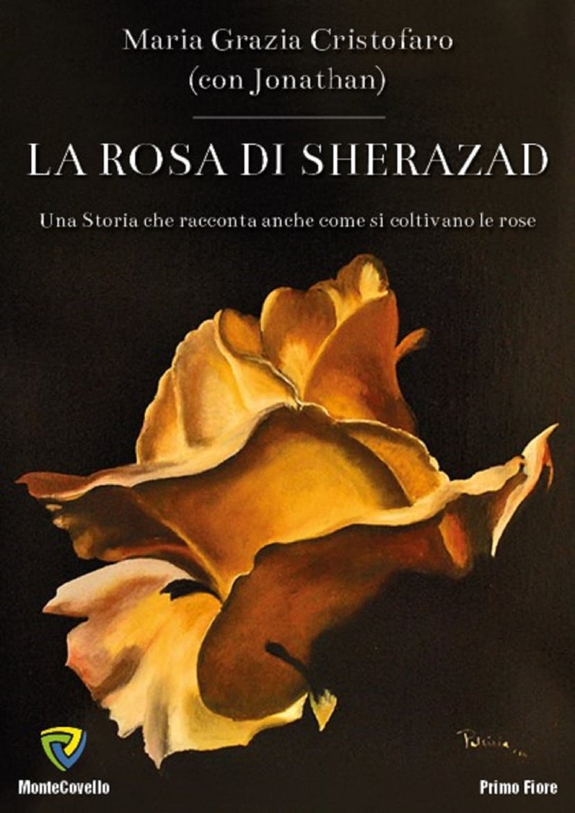 media/ebook/10497733_k00e60fe_0
