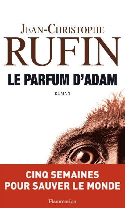 media/ebook/10500254_1efn1eu4_0
