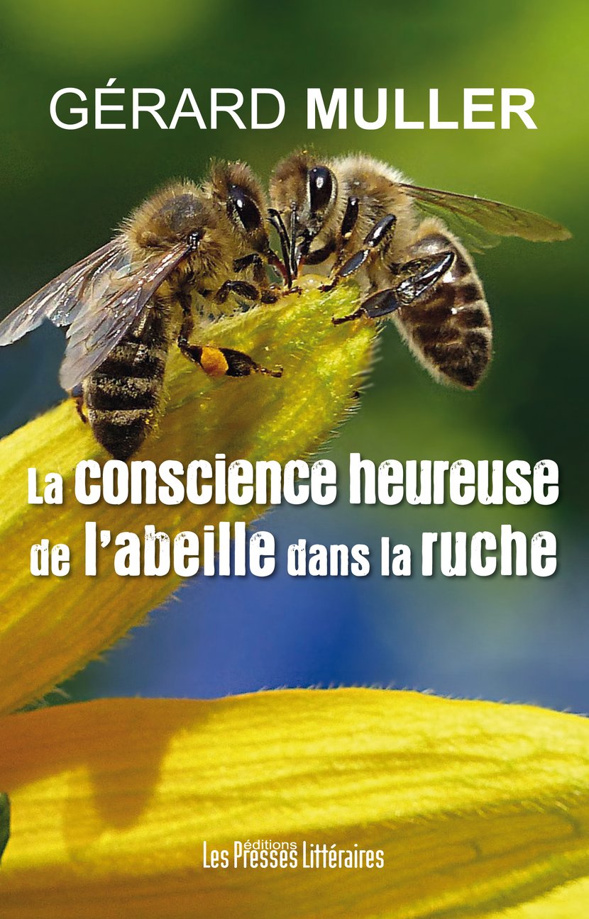 media/ebook/10501386_zsw4o45j_0