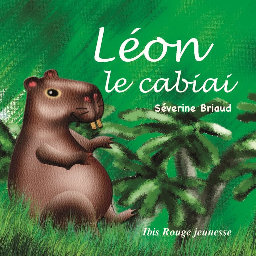 media/ebook/10502522_8eym2ppn_0