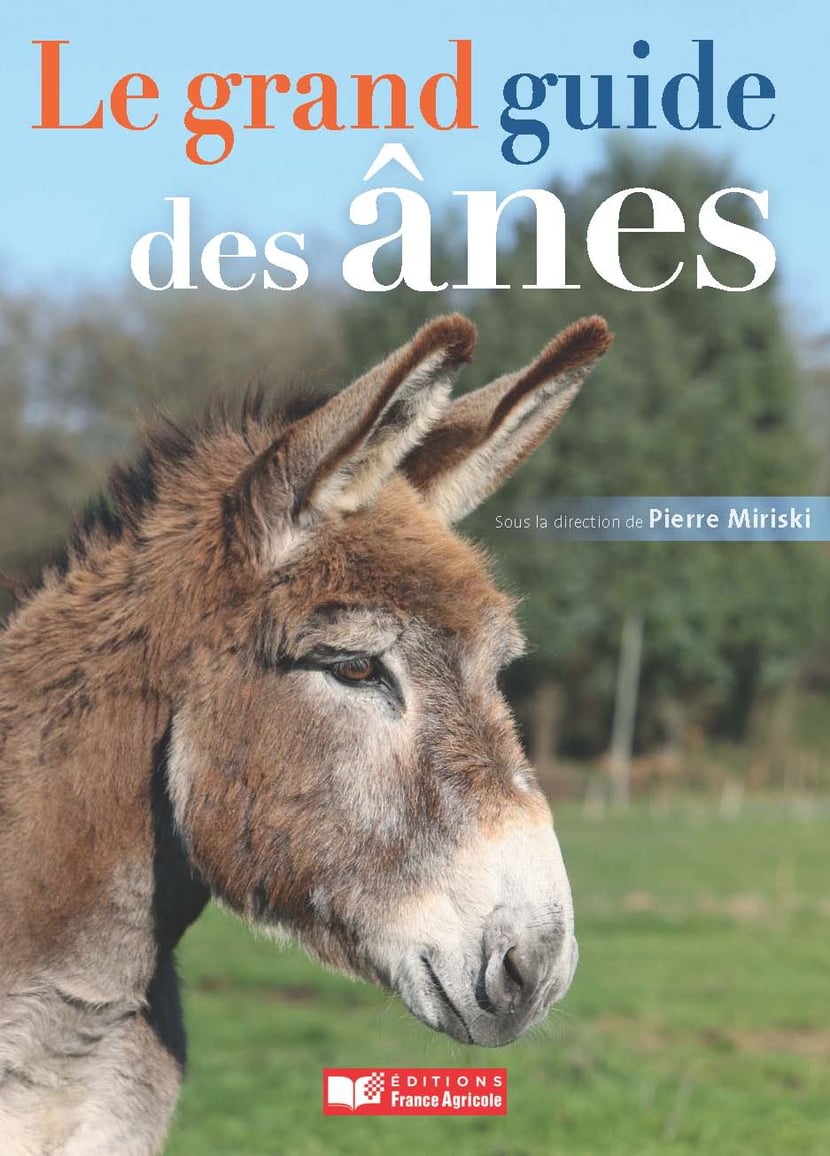 media/ebook/10504506_10dxai84_0