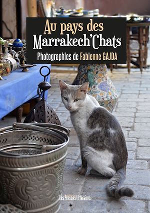 media/ebook/10505029_u82maxho_0