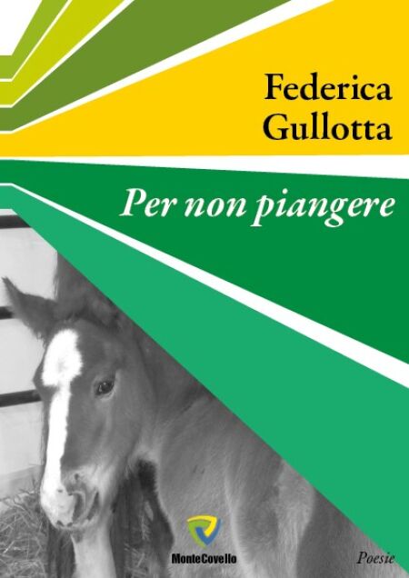 media/ebook/10505472_3ao8h4cc_0