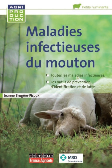 media/ebook/10505714_1tc48q0a_0