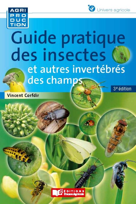 media/ebook/10505736_8krl9vyl_0