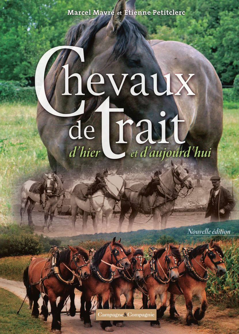 media/ebook/10506351_1gw4k30h_0