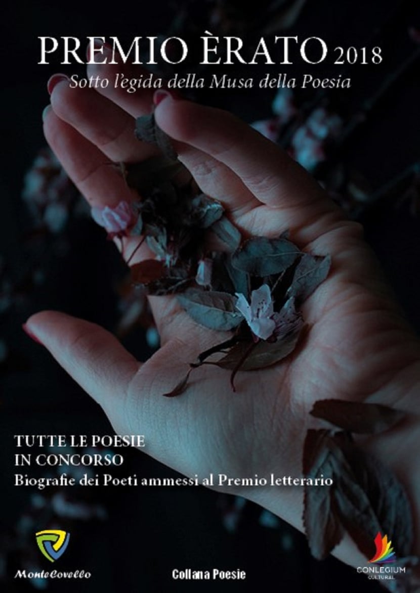 media/ebook/10506597_15xaquqe_0