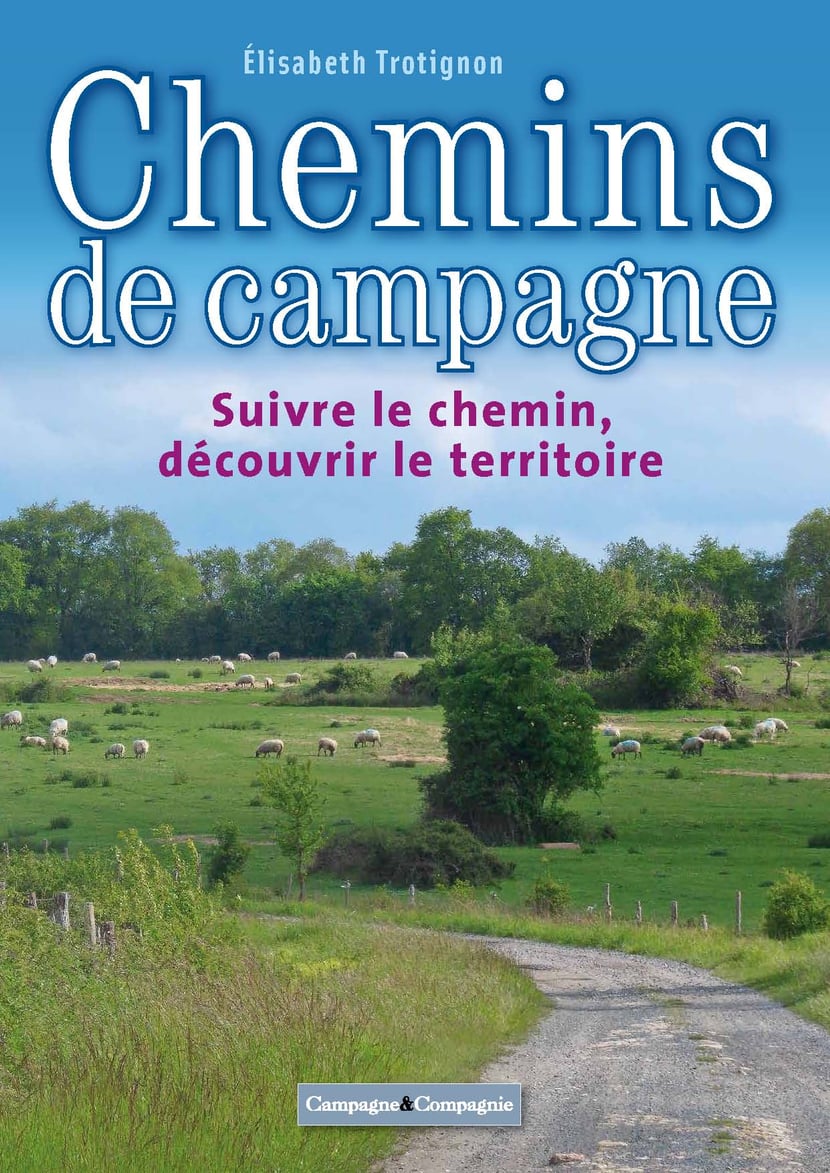 media/ebook/10509026_z70qr7b3_0