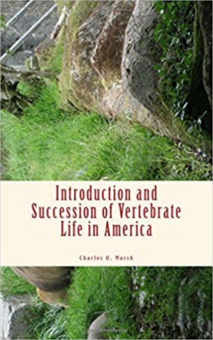 media/ebook/10511316_1wwmb1d0_0