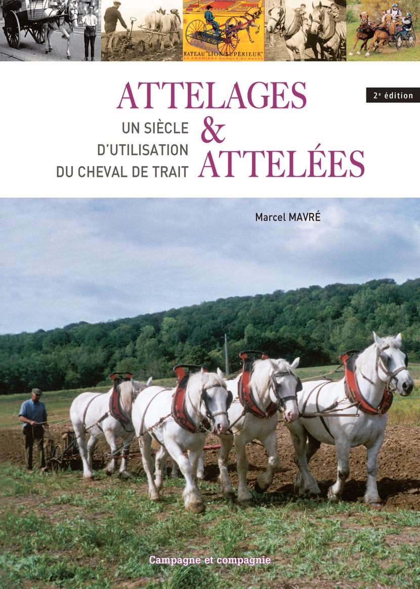 media/ebook/10511983_882jvxb1_0