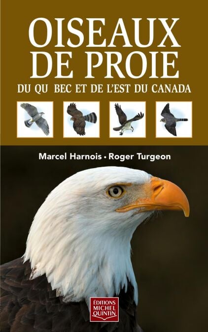 media/ebook/10624873_qun94b0m_0