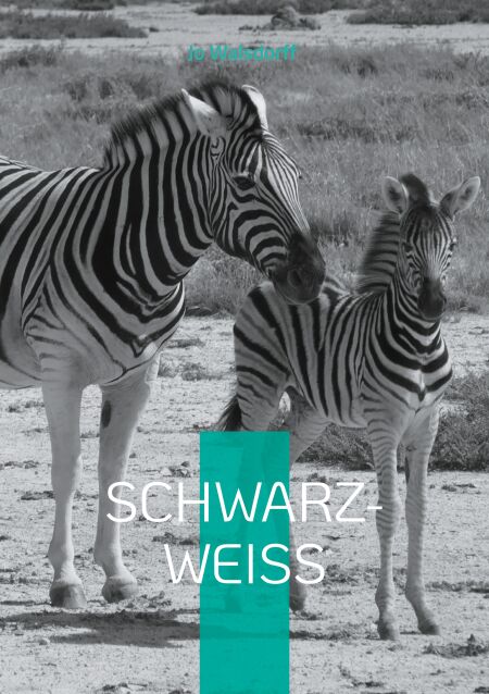 media/ebook/10647165_3k70bw47_0