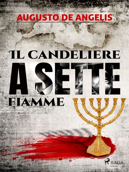 media/ebook/10733416_image_type_product_shot_VIVLIO_1_FR_baf37