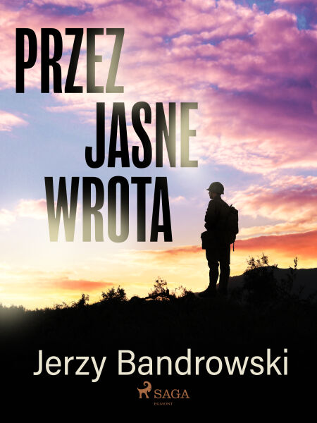 media/ebook/10735723_qk0eblyb_0