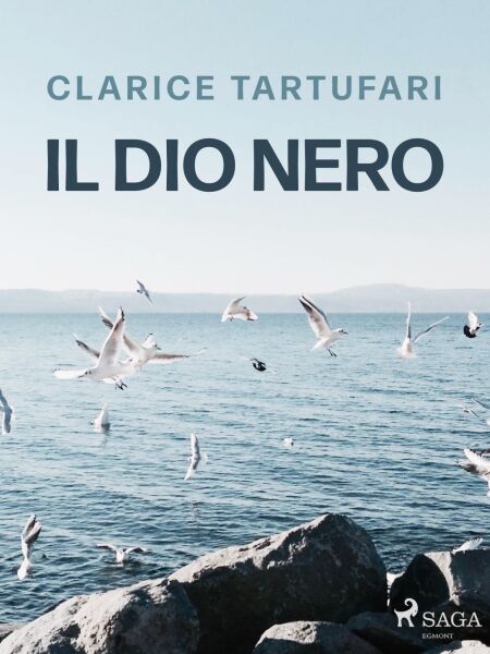 media/ebook/10738358_image_type_product_shot_VIVLIO_1_FR_1ff10