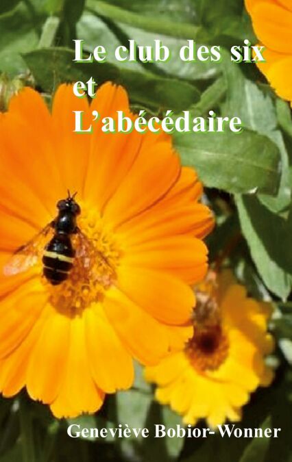 media/ebook/10777961_qltnc621_0