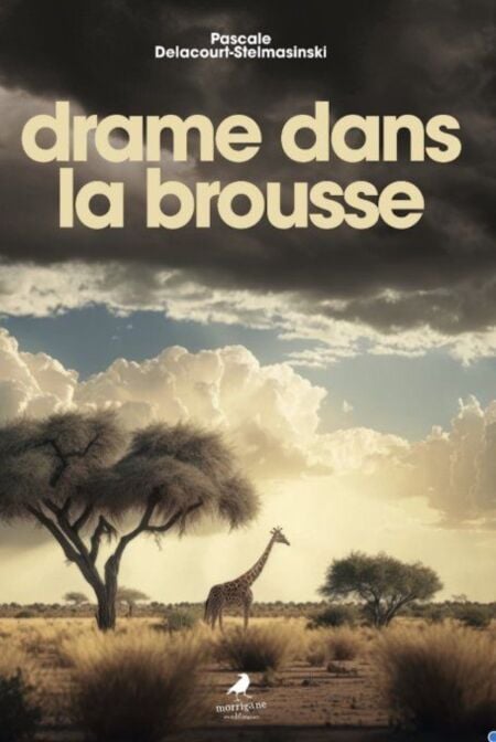 media/ebook/10786495_hs31ahr5_0