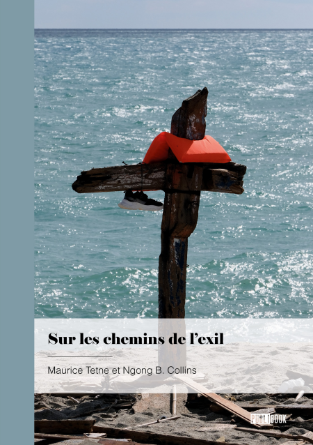 media/ebook/10800551_image_type_product_shot_VIVLIO_2_FR