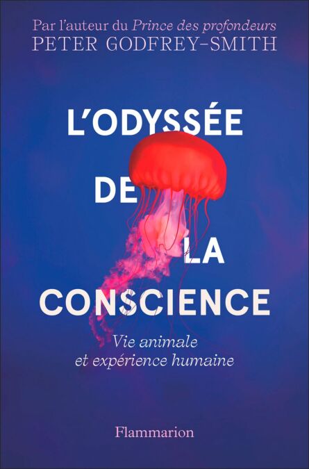 media/ebook/10815363_image_type_product_shot_VIVLIO_1_FR