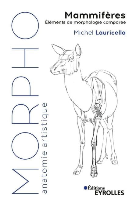 media/ebook/10911575_1pbsd7rb_0
