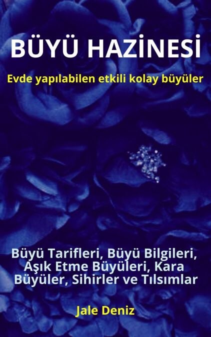 media/ebook/11227209_b1iwt9rj_0