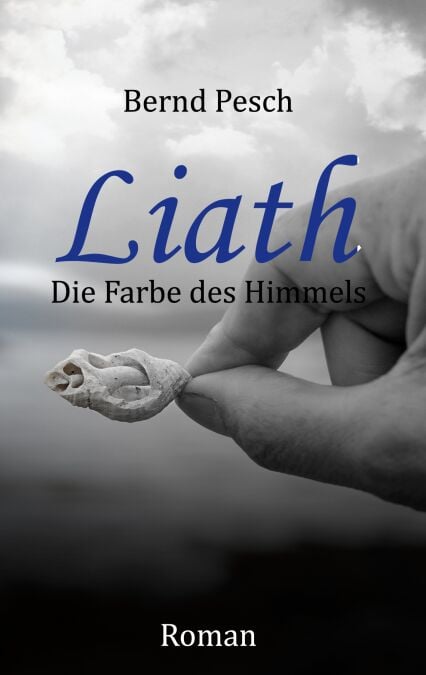 media/ebook/11264165_6ttnm1ol_0