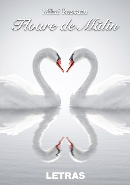 media/ebook/11356117_b6fu75a1_0