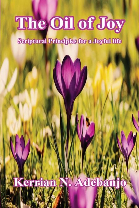 media/ebook/11509825_n7g0rukj_0
