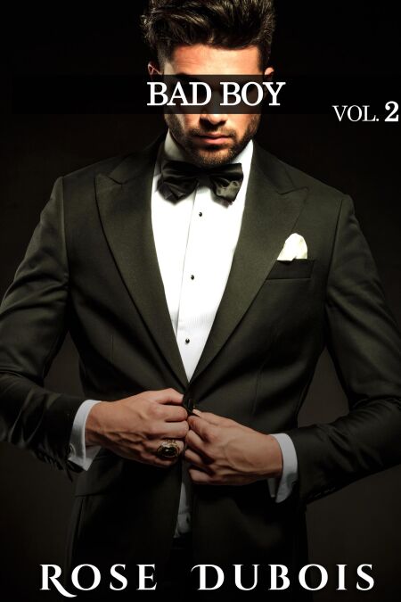 media/ebook/11557795_1fi8sfyf_0