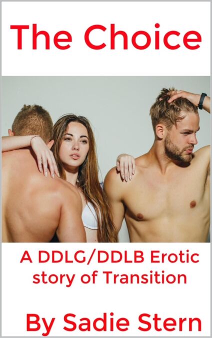 media/ebook/11600957_zqnu9yoi_0